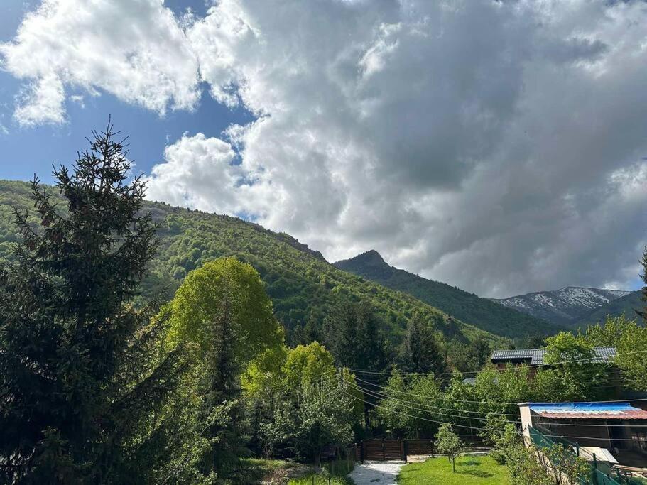 Cosy Mountain Villa In Nizepole Bitola Zewnętrze zdjęcie